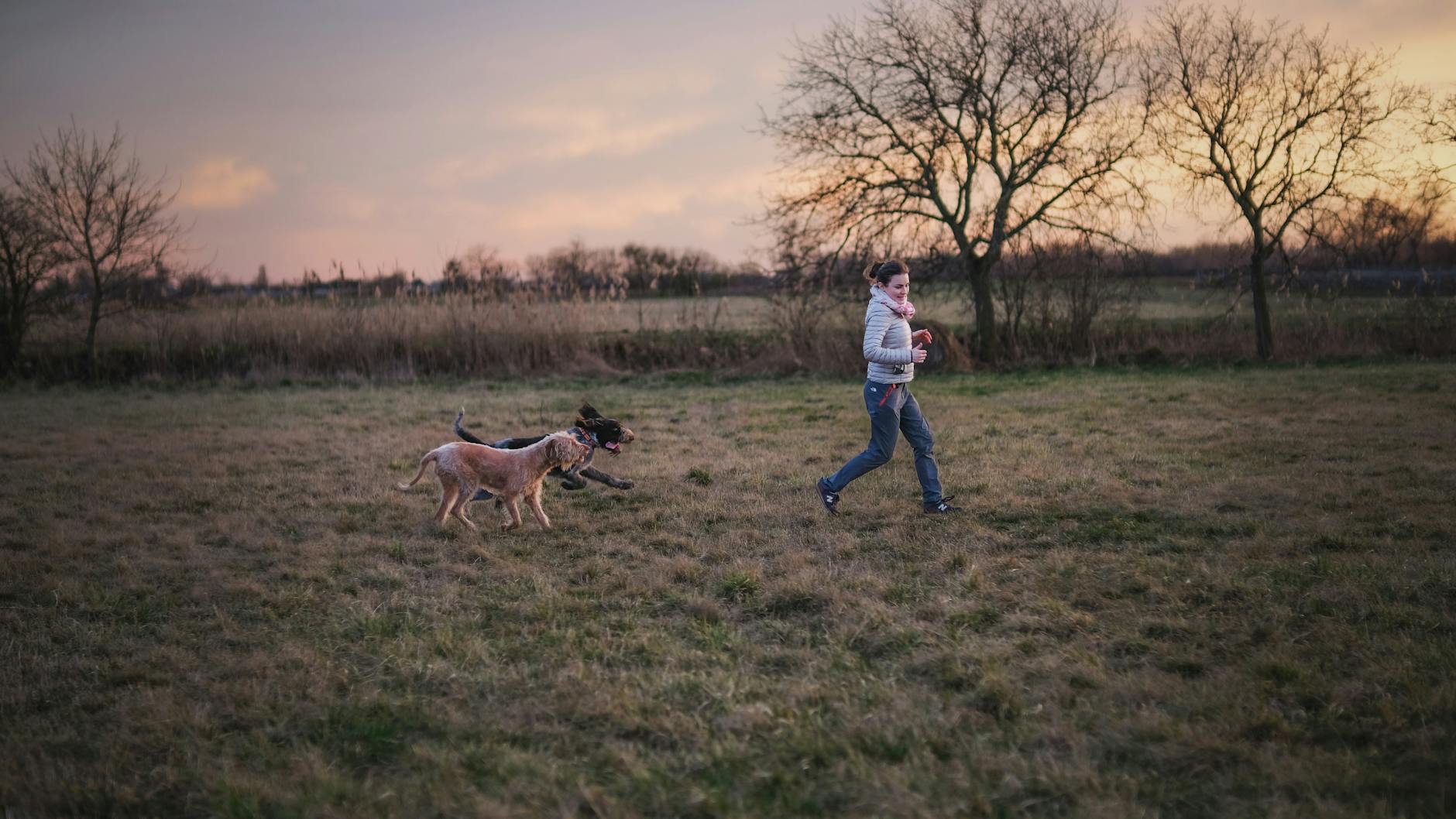 Woman Running with Dogs at Sunset in Field