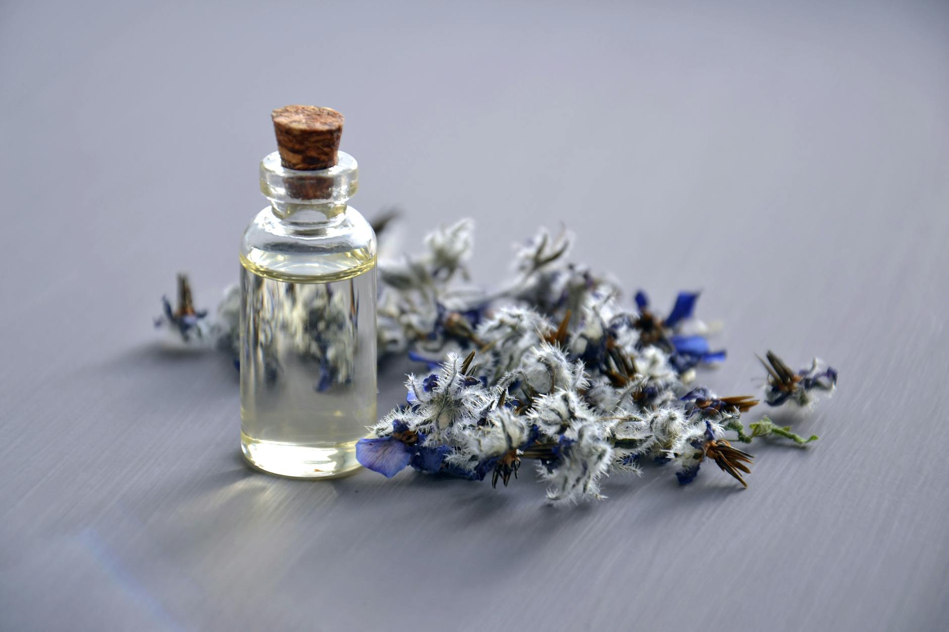 Effective Treatments for the Most Common Illnesses