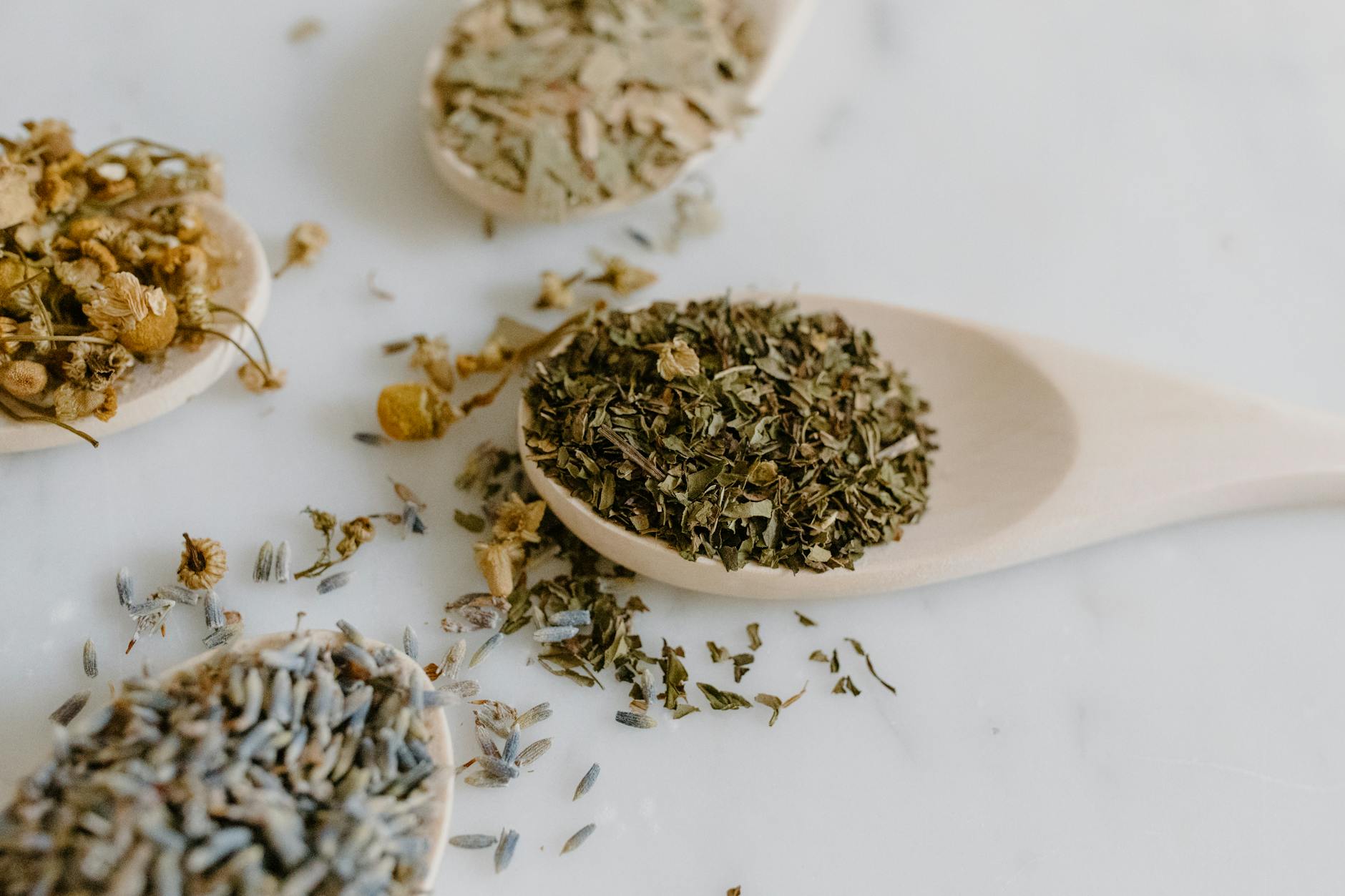 Natural Treatments for Everyday Illnesses