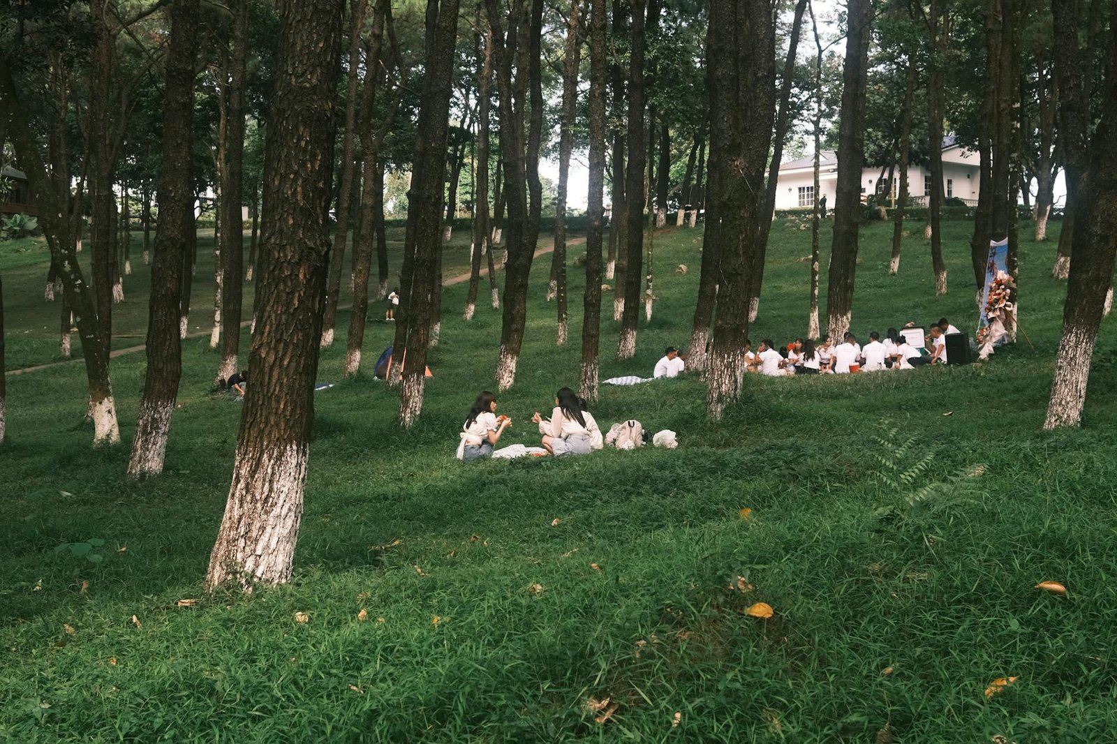 Top 5 Wellness Companies Enhancing Employee Wellness