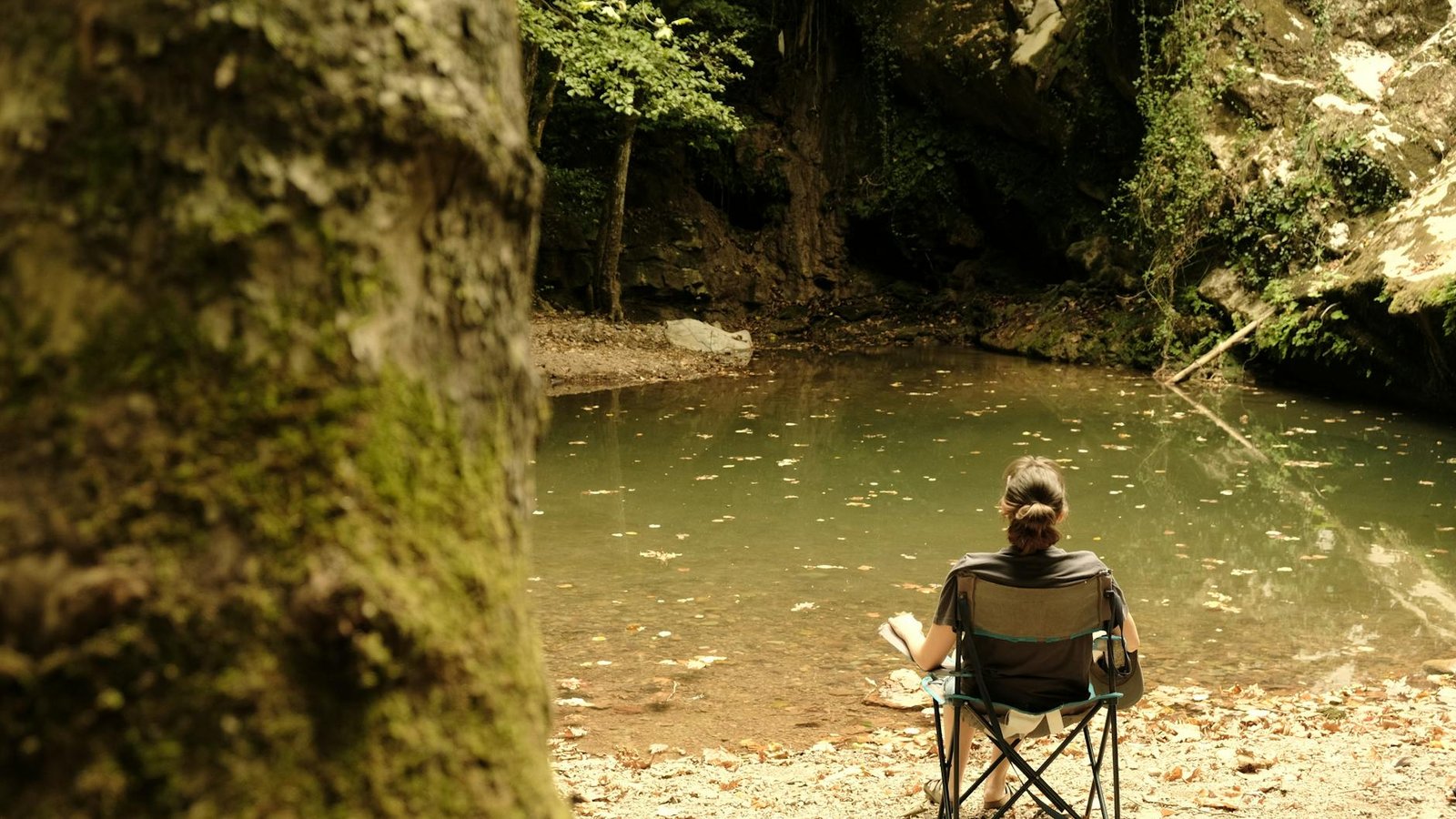 Top Wellness Apps to Boost Your Mental Wellness